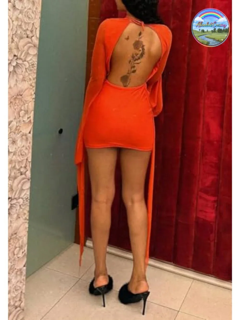 Women's Mesh Cowl Neck Backless Mini Dress Long Sleeve Party